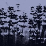 Vioflesh – Not In Love