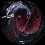 Dstrtd Sgnl – Mindwork
