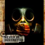 Spider Lilies – Never Be Destroyed