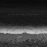 White Birches – Breathing