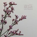 White Birches – Lethe´s Bramble / Burning Autumn Skies