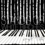 White Birches – Stands of White Birches