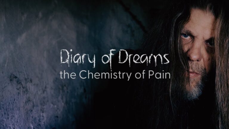 Diary of Dreams – the Chemistry of Pain (Video)