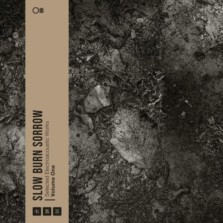 Kill Shelter präsentiert überraschende elektroakustische EP