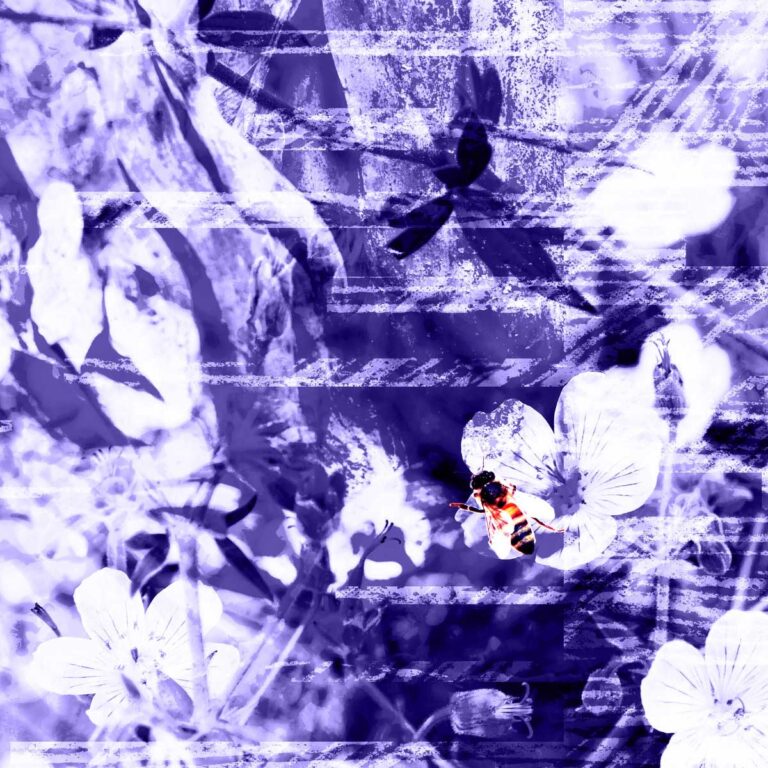 Electro-Projekt Solid-State Sunlight veröffentlicht zweite Single „Halogen Dusk” aus kommender EP