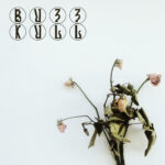 Buzz Kull – Dreams
