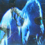 Buzz Kull – Fascination