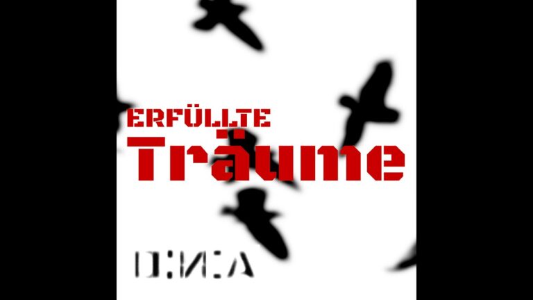 D.N.A – „Erfüllte Träume“ official NLEP Lyric Video
