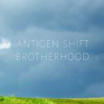Antigen Shift – Brotherhood
