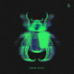 The Fair Attempts – Carnal Insect