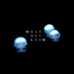 Thomas Schernikau – What Do I Know