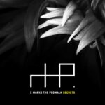 X Marks The Pedwalk – Secrets