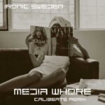 Ironic Sweden – Media whore remixes