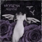 Vioflesh – Melancolia