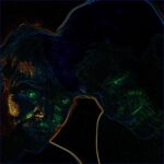 Ships In The Night & Buck Gooter – I Wish She Loved Me