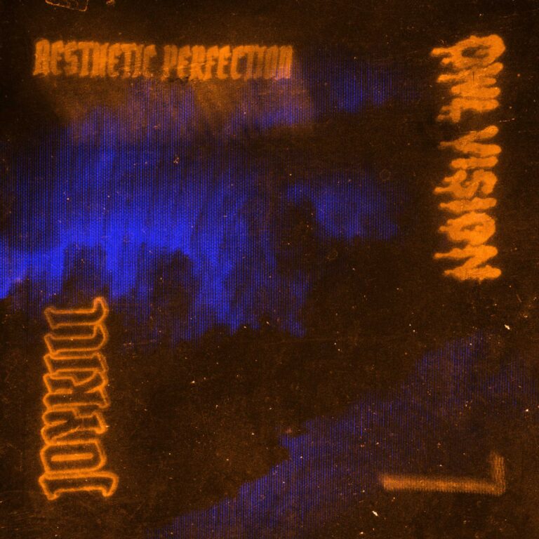 Aesthetic Perfection x OWL Vision