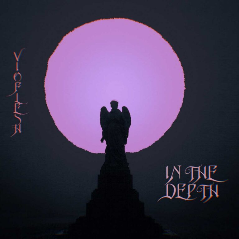 Vioflesh - In the Depth