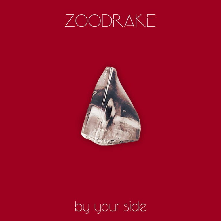 Zoodrake – By your side