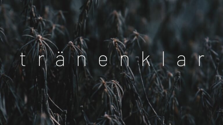 Diary of Dreams – tränenklar