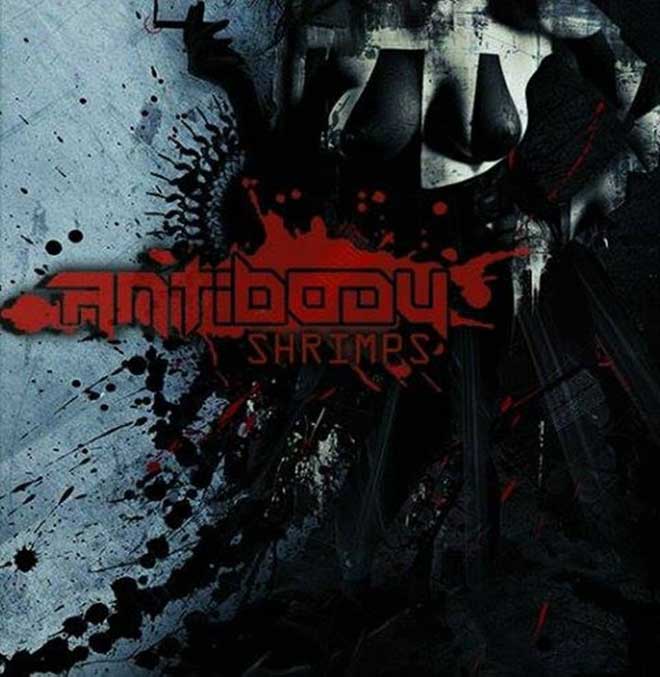 Antibody – Shrimps
