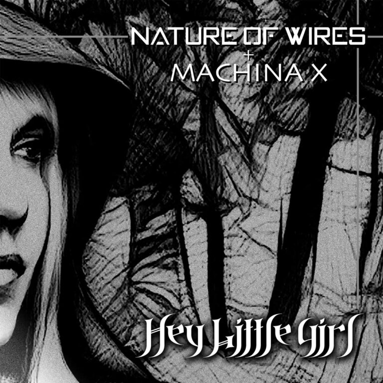 Ein Icehouse-Klassiker, gecovert von Nature of Wires + Machina X
