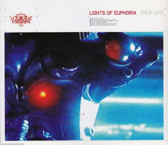 Lights Of Euphoria – True Life