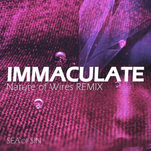 Sea Of Sin – Immaculate (Nature Of Wires Remix)