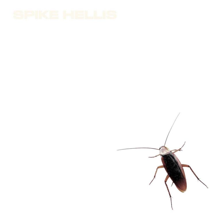 Spike Hellis – Successor