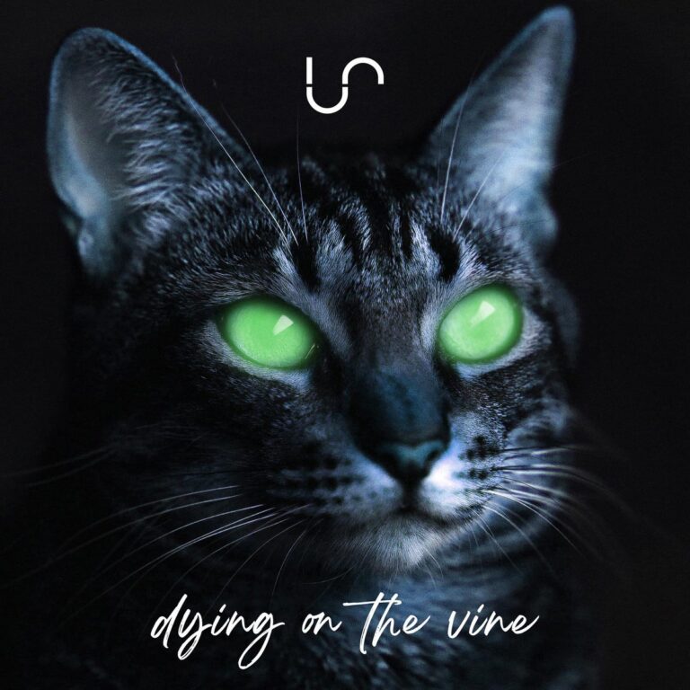 Unify Separate – Dying on the Vine