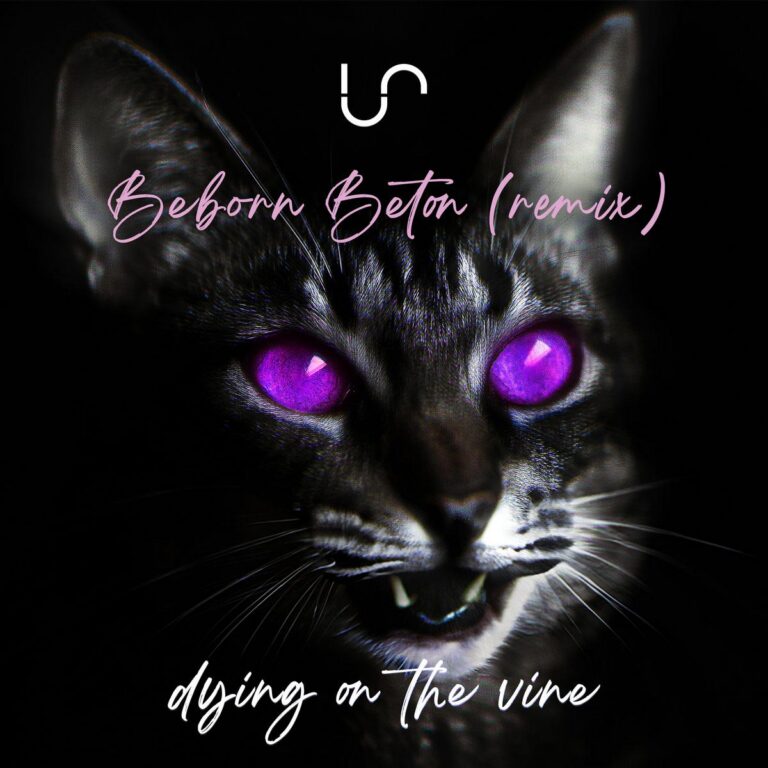 Unify Separate – Dying on the Vine (Beborn Beton Remix)
