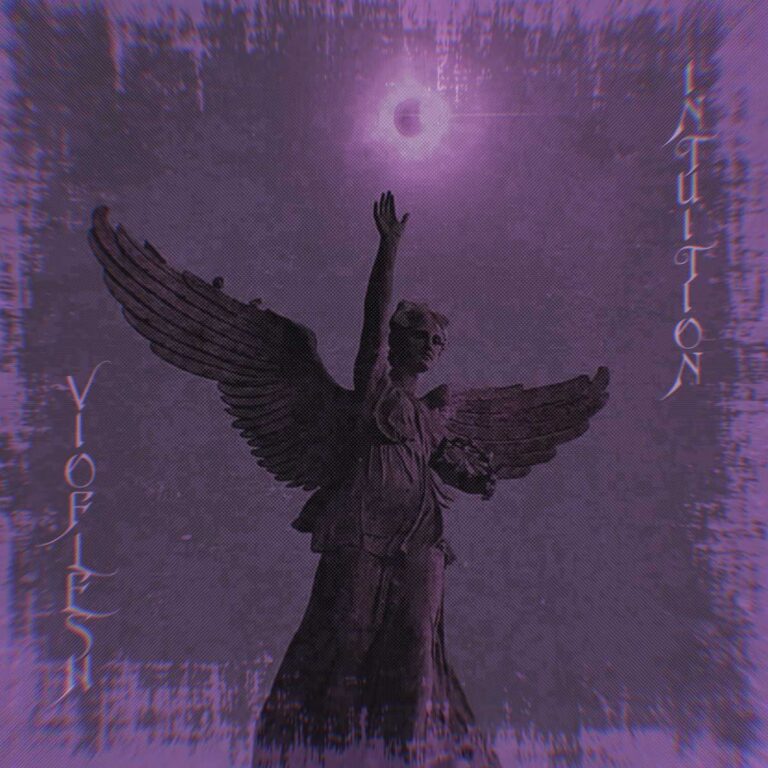Vioflesh – Intuition