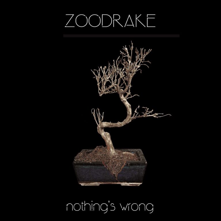 Zoodrake – Nothing`s Wrong